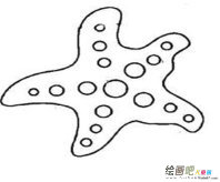 海洋生物简笔画：海洋生物的画法